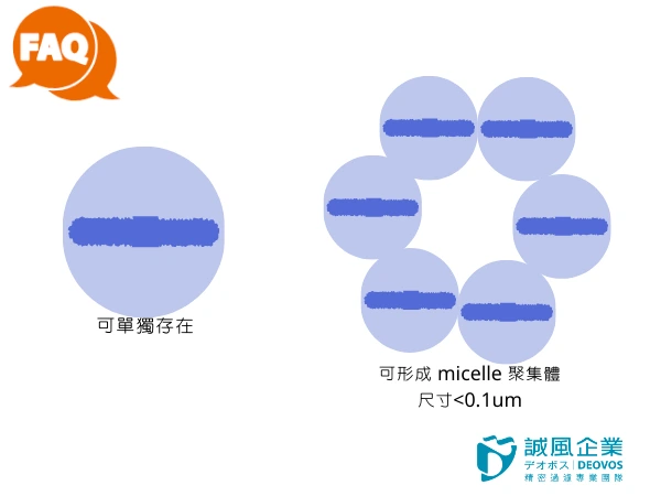 內毒素可單獨存在也可以聚集一起