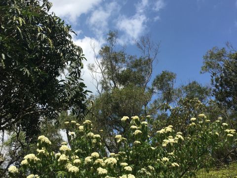 邊看風景